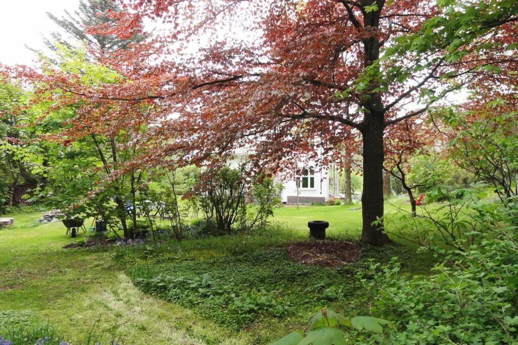 Charming Flat In Cosy * Skudeneshavn